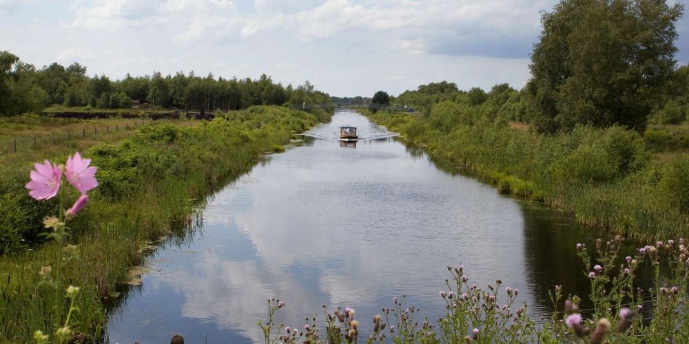 Het land van Ellert en Brammert